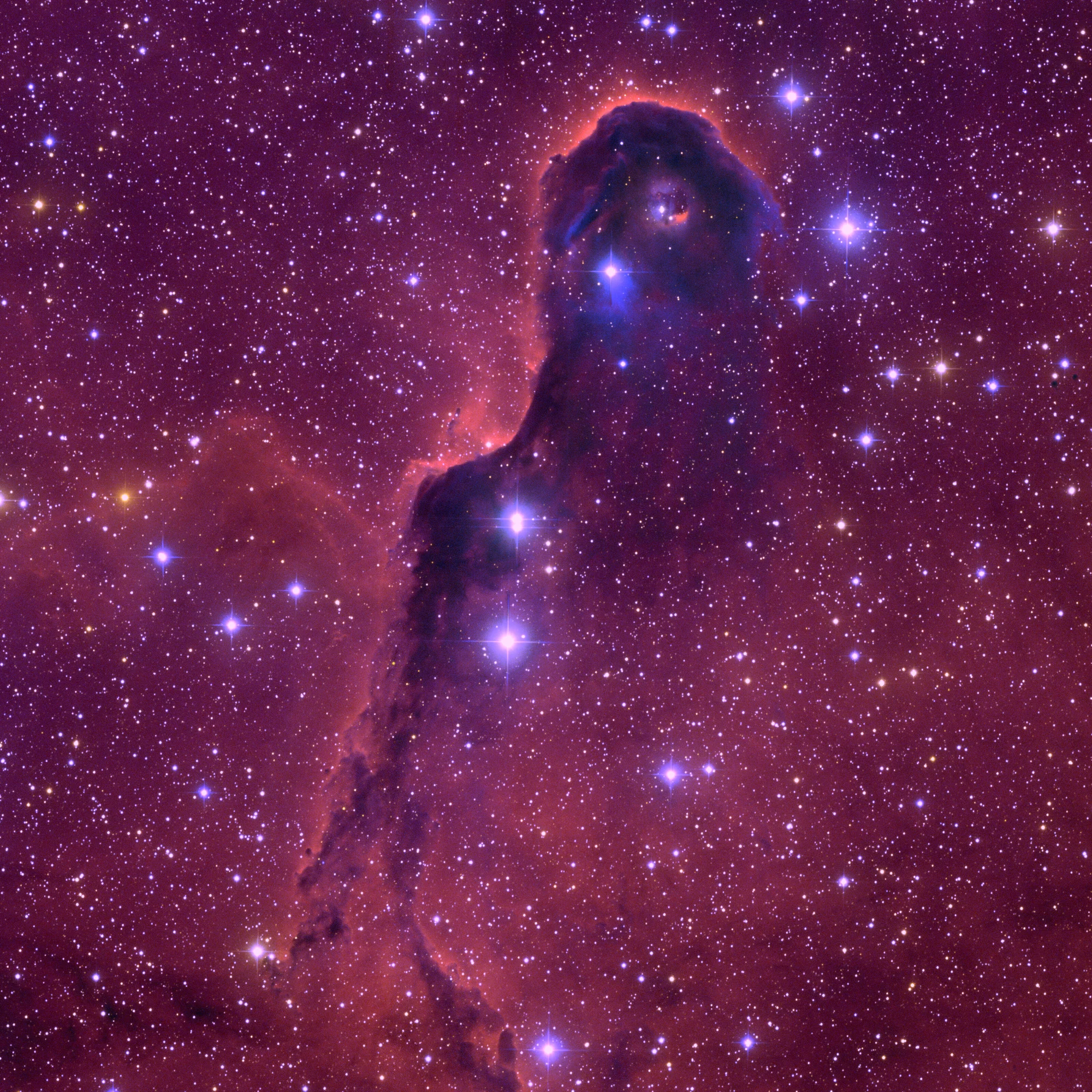 Globule sombre d’IC 1396, photographie d'archives