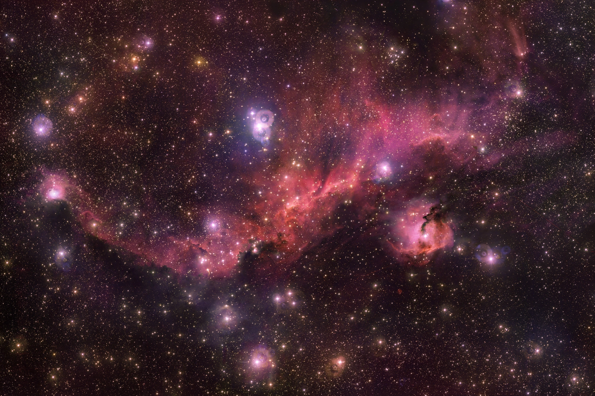 Seagull Nebula, archival photograph