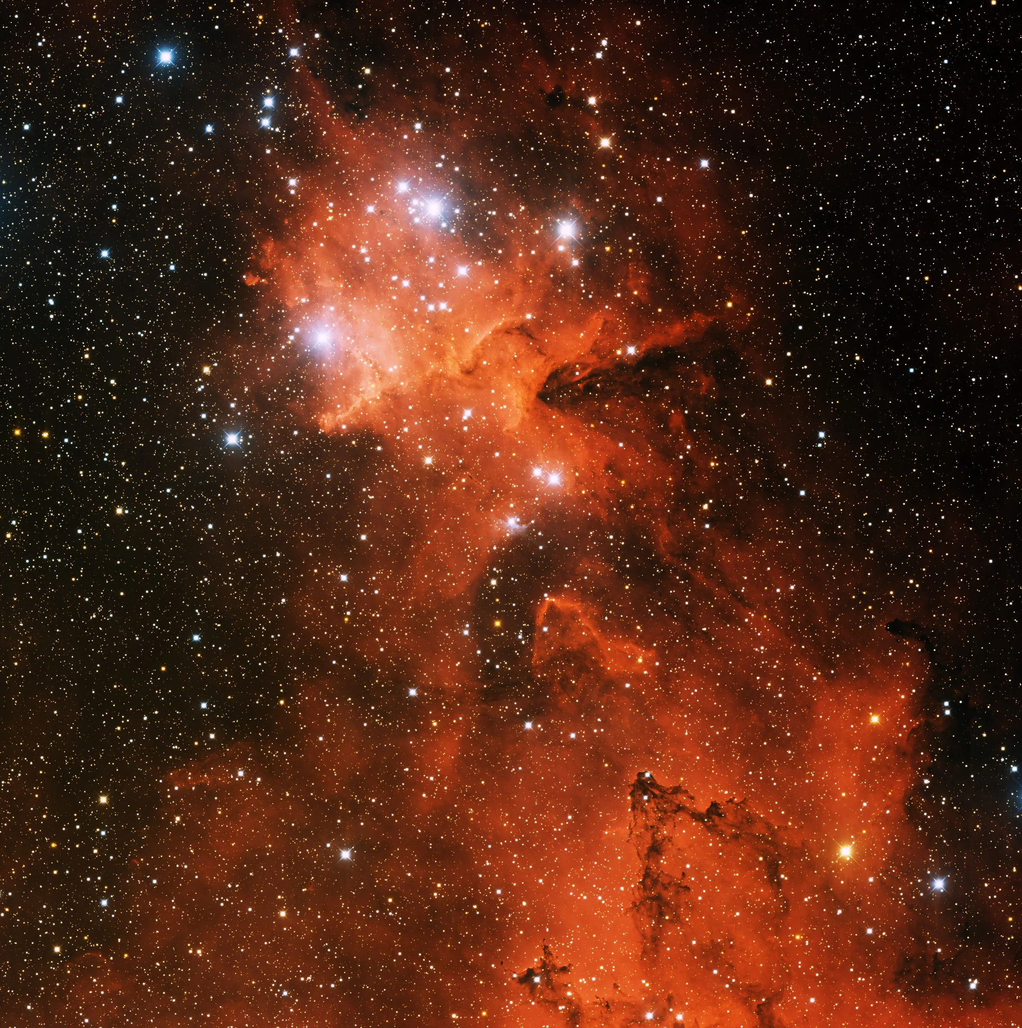 Heart Nebula, archival photograph