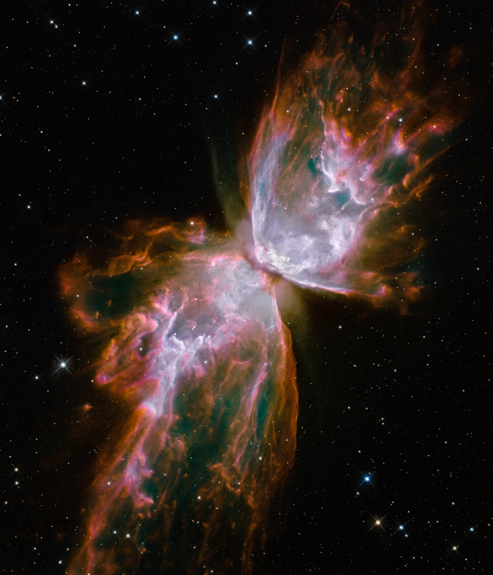 Nébuleuse du Papillon, photographie d'archives