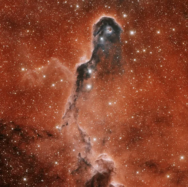 Nébuleuse de la Trompe d’Éléphant, photographie d'archives